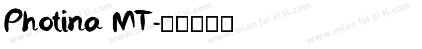 Photina MT字体转换